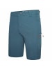 Dare 2b Outdoorshorts Tuned In II in Wild Green