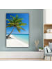MuchoWow Leinwand bilder Palme (BxH)