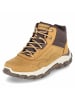 Skechers Schnürstiefel in beige