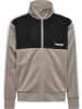 Hummel Kinder Trainingsanzug "Colorblock Tracksuit" in Grau