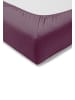 Estella Spannbetttuch Jersey-Stretch in aubergine