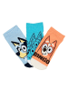 Bluey Bingo Kinder Sneaker Socken 6er Pack in Mehrfarbig
