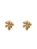 Steel_Art Ohrstecker Damen Fia goldfarben in goldfarben