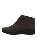 Josef Seibel Stiefelette Calais 53 in braun