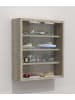 ebuy24 Glasvitrinen AgisaS 2 Eiche 37 x 10 cm
