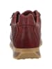 Cetti Sneaker für Herren in bordeaux