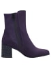 Marco Tozzi BY GUIDO MARIA KRETSCHMER Stiefelette in PURPLE