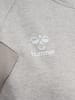 Hummel Hummel Reißverschluss Hoodie Raglanärmel Hmltravel Multisport Damen in LIGHT GREY MELANGE