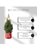 NatureNest Weihnachtsbaum mit Beleuchtung Starlight in Xmas Bag rot