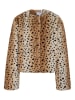 Noisy may Jacke in Nomad1