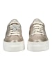 Nero Giardini Sneaker in Champagner