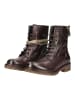 Felmini Stiefelette CASTER in Dunkelbraun