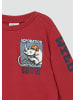 s.Oliver Sweatshirt  in  3407_rot