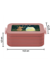 Mr. & Mrs. Panda Bento Box Maus Sterne Design ohne Spruch in Rot Pastell