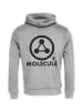 Molecule Hoodie Heavy in Grey
