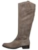 Gabor Stiefel in Braun/Grau