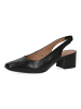 Caprice Pumps in Schwarz