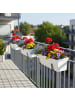 relaxdays 4 x Blumenkastenhalter in Anthrazit
