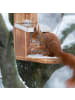 relaxdays Eichhörnchen Futterhaus in Natur/ Silber