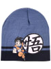 Dragon Ball Wintermütze Dragon Ball in Blau