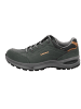 LOWA Outdoorschuhe RENEGADE EVO GTX LO in graphit/aprikose