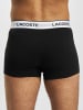 Lacoste Boxershorts in black