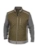 MADDOX Jacke WEICHELSEE-F002 in oliv