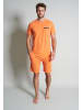 Tom Tailor Shorty in rot-hell-melange1
