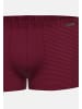 Ammann Retro Short / Pant Cotton & More in Bordeaux