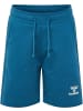 Hummel Short in Blau
