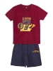 Harry Potter 2tlg. Outfit T-Shirt & Shorts Harry Potter  in Bordeaux-Dunkelgrau