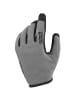IXS Fingerhandschuh CARVE GLOVES in Graphite