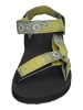 Teva Sandalen ORIGINAL UNIVERSAL SUNSCAPE 1169377 in bunt