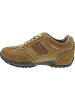 Camel Active Sneaker low Braun