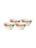 Villeroy & Boch 4er Set Müslischalen Amazonia ø 14,9 cm in bunt
