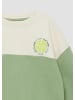 s.Oliver Sweatshirt in 7253_salbeigrün