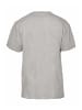 DNGRS Dangerous Tall Tee in grey