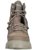 Timberland Stiefelette in Taupe