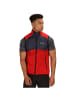 Regatta Weste Softshellweste in blau