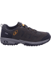 Lico Trekkingschuh Mit Tex-Membran in braun