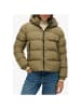 Superdry Jacke Grun