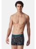 Schiesser Retro Short / Pant 95/5 Cotton in Schwarz / grau
