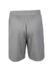 Puma Trainingsshorts teamFINAL Training in grau / schwarz