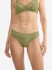 Triumph Tai-Slip Red Label Feel of Modal in Olive Gold