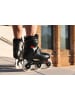 Powerslide Inliner in Schwarz