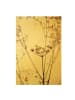 WALLART Leinwandbild Gold - Trockenblume im Lichtspiel in Braun