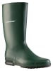 Dunlop Gummistiefel Sport in grün in grün