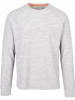 DLX Longsleeve in Grau