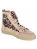 Gabor High Sneaker in beige