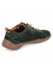 Josef Seibel Schnürhalbschuh in green